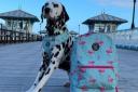 Pippa the dalmation and a dog poo backpack.