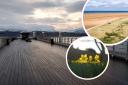 Beaumaris Pier and (inset) Talacre beach and daffodils.