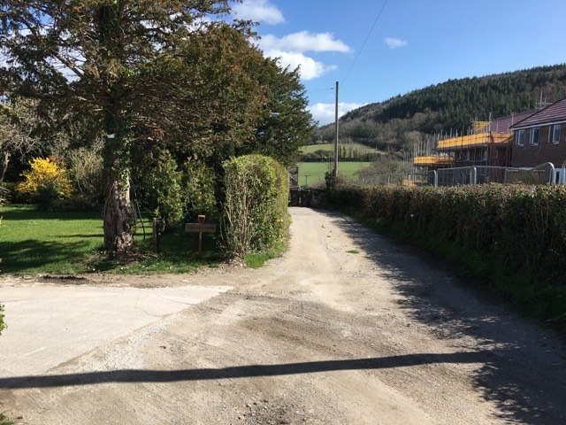 The view down the private lane past Mr Green\s house clearly shows how low the hedge (right) has been chopped down Pic: Jez Hemming (clear for use by all partners)