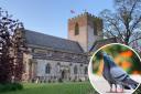 Pigeon release from St Asaph Cathedral planned to mark Prince Philip’s funeral.