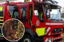 A fire engine and, inset, a Christmas tree (Canva)