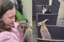 L: 10-year-old Grace with Daisy the rabbit. R: Nula and Daisy