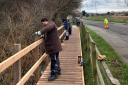 The new walkway at Brickfield Pond nature reserve