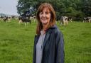 Rural affairs minister, Lesley Griffiths. Photo: Welsh Government