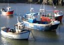 Help available to boost Welsh fishing industry (Image Welsh Government)