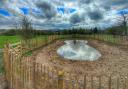 The new pond at Bruton Park nature reserve