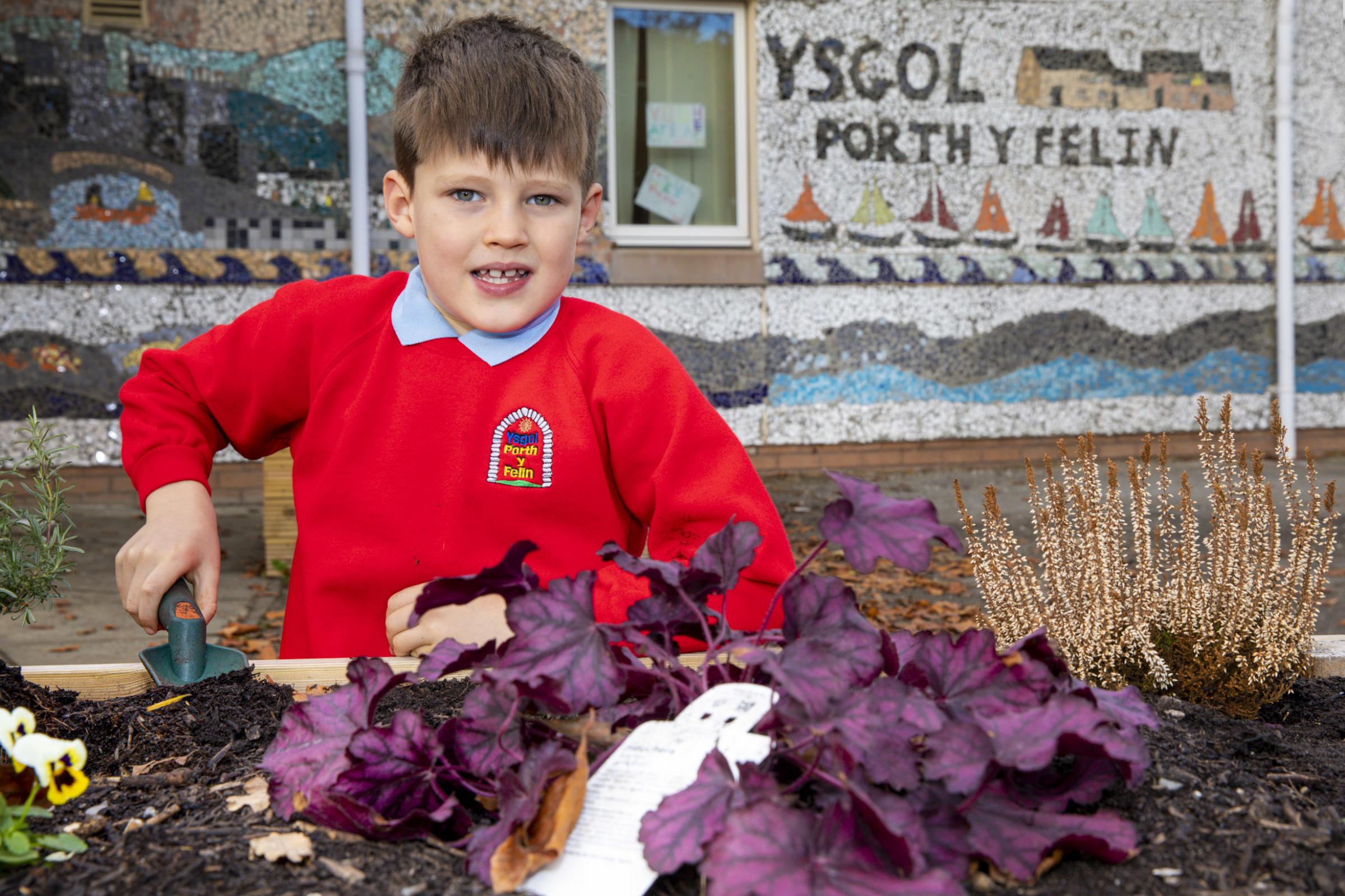 An Ysgol Porth y Felin and school council member tops up a planter with water. Picture Mandy Jones