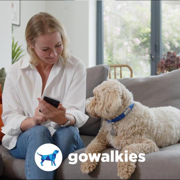 Rhyl Journal: GoWalkies is quick and easy to use from both the walkers and owners perspective. (GoWalkies)