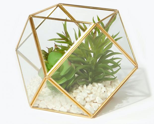 Rhyl Journal: Succulents in Hexagonal Planter is available via Matalan. Picture: Matalan
