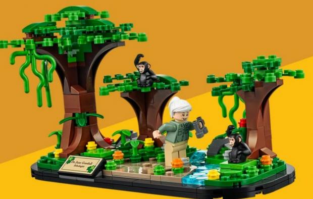 Rhyl Journal: Get the Jane Goodall set. (LEGO)