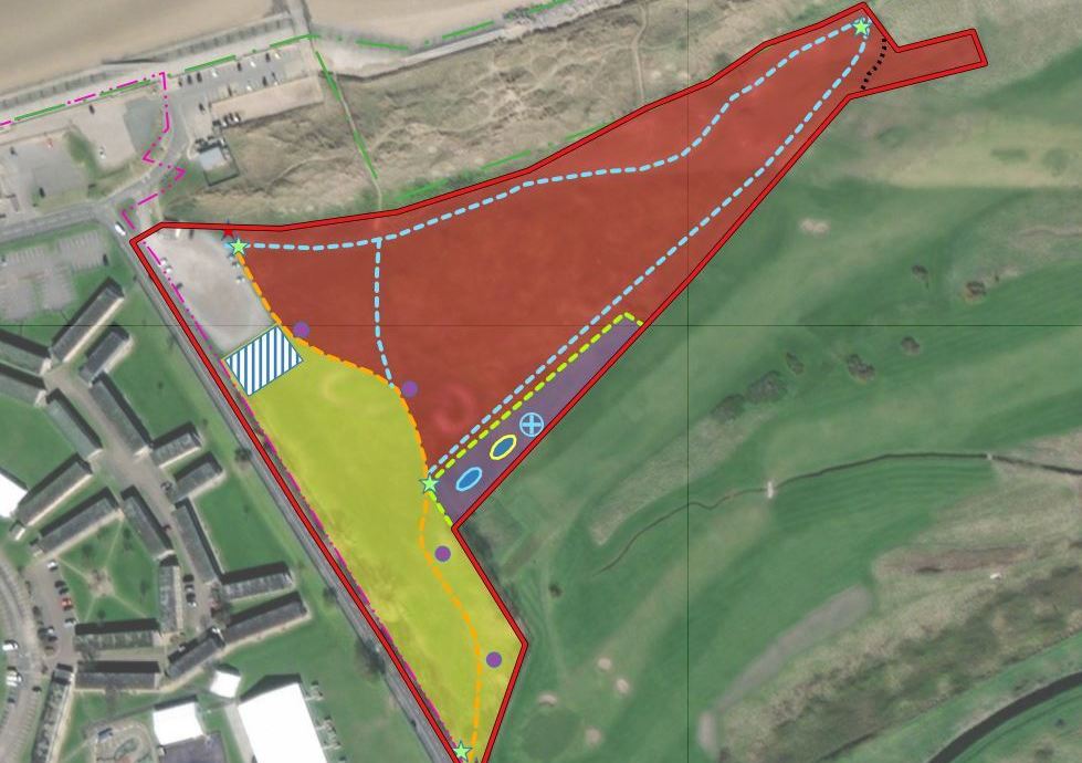 New coastal protection plans in Rhyl include a ecological area and habitat for natterjack toads, shaded in purple..