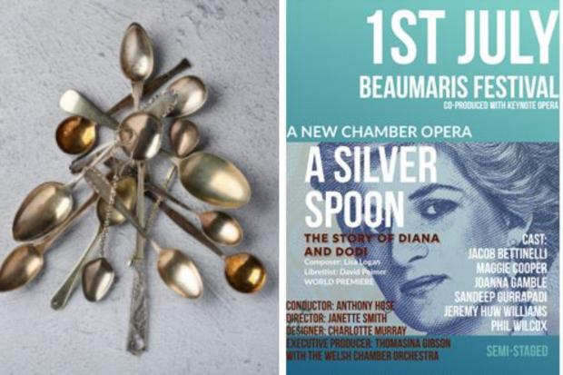 A Silver Spoon, the story of Princess Diana and Dodi .