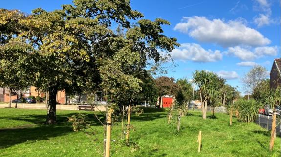 Rhyl Journal: The new community orchard at Coronation Gardens Rhyl Journal: The new community orchard at Coronation Gardens