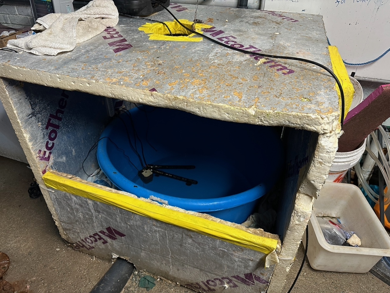 A makeshift incubator prepped for Rhossi. The Anglesey Sea Zoo needs funds for specialist turtle rescue equipment (Image Anglesey Sea Zoo)