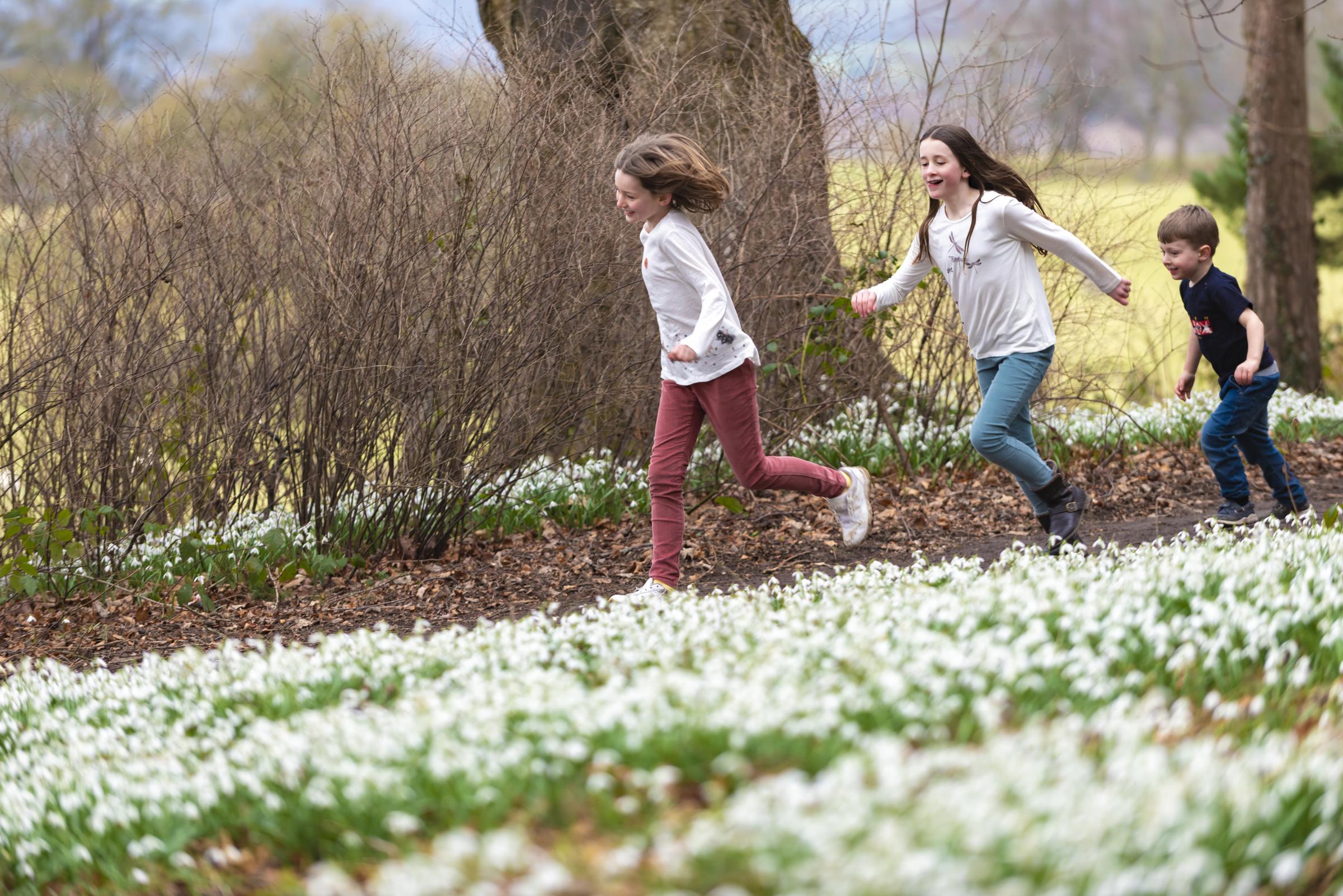 Children and snowdrops at Chirk Castle, Wrexham. Photo: ©National Trust by Paul Harris