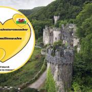 Gwrych Castle is among the landmarksand attractions being lit up. And ‘Light up Wales’ yellow heart