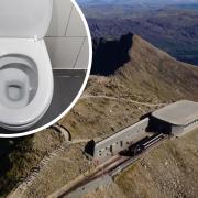 An MS has put foreward a solution to Snowdon's no toilets problem.