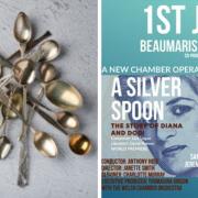 A Silver Spoon, the story of Princess Diana and Dodi .
