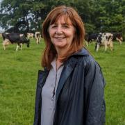Rural affairs minister, Lesley Griffiths. Photo: Welsh Government