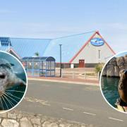 SeaQuarium, Rhyl. Inset: Seals at SeaQuarium