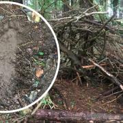 Large footprints that have been discovered in a remote woodland could belong to Bigfoot, paranormal experts claim.  Image: SWNS