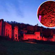 Castle is lit up red for remembrance and the poppy cascade
