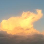 Leona Goldsmith took the photo of the glowing elephant cloud
