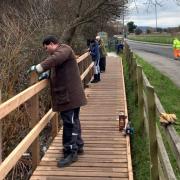 The new walkway at Brickfield Pond nature reserve