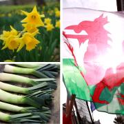 Do you know why the dragon, daffodil and leek are national symbols of Wales?