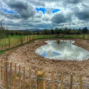 The new pond at Bruton Park nature reserve