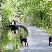 Llangollen canal in North Wales