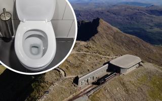 An MS has put foreward a solution to Snowdon's no toilets problem.